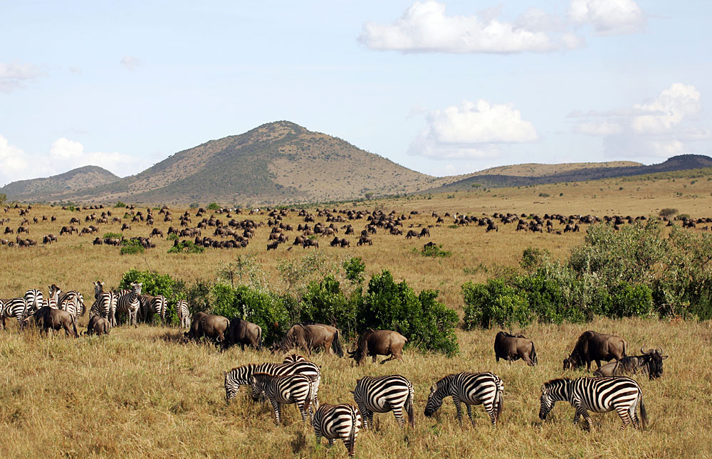 Day 4-Maasai Mara National Reserve
